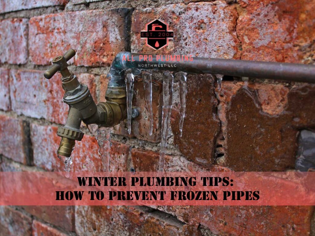 prevent frozen pipes king county snohomish county